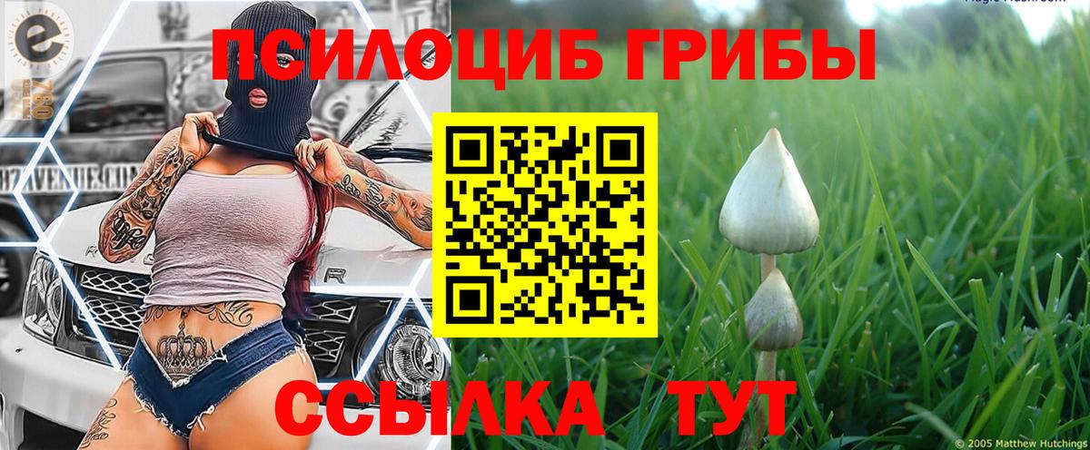 где купить   Галлюциногенные грибы GOLDEN TEACHER  Галлюциногенные грибы Magic Shrooms  Вход с VPN  Ханты-Мансийск 